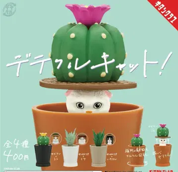 가챠 데테쿠루 캣 풀 컴프