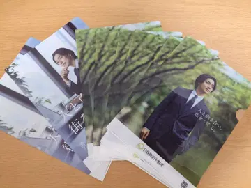 요코하마 류세이 클리어 파일 8장 세트