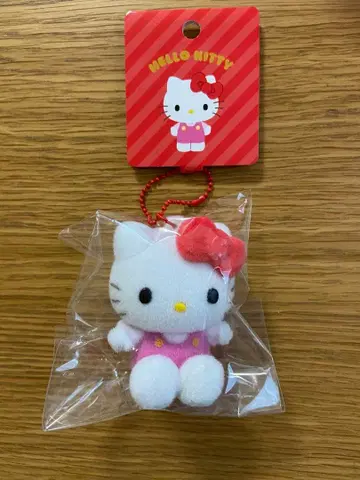 산리오 플로키 마스코트 키링 키티