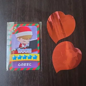 SEVENTEEN 세부치 파즈치 우지 덤 포함