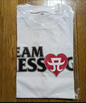 하마사키 아유미 투어 티셔츠 10th 아시아 투어 티셔츠 굿즈