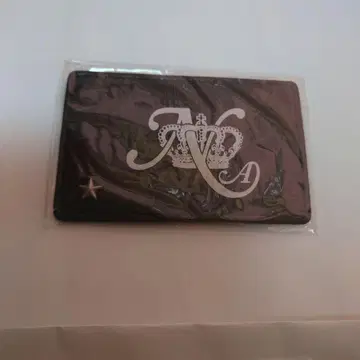 아무로 나미에 패스 케이스