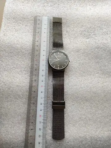 SKAGEN 실버 메쉬 밴딩 손목시계