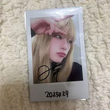 ExWHYZ mikina 폴라로이드