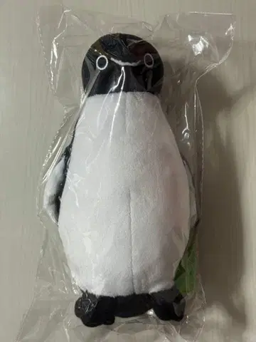 Suica 펭귄 봉제 인형 마스코트 M 펜콜레