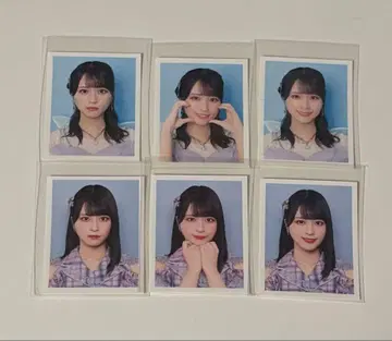 이코라부 사사키 마이카 ID 사진