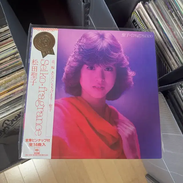 마츠다 세이코 초판 앨범 다수 LP