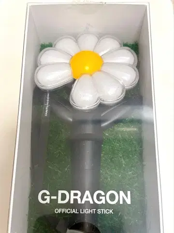 GDRAGON 지용 응원봉