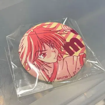 HUNTER x HUNTER 헌터헌터 환영여단 복권 바닥 캔뱃지