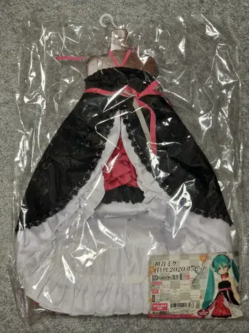 DD용 하츠네 미쿠 TYPE2020-II 세트 하츠네 미쿠 돌피드림