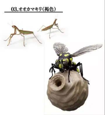 생물대도감 미니 컬렉션 곤충 02 사마귀 (갈색) 배가 긴 벌벌레