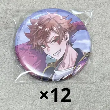 트위스테 기숙사 의류 캔뱃지 에이스 12점