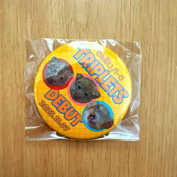 논호이 파크 사자 아기 캔뱃지 TRIPLETS DEBUT