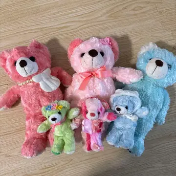 컬러풀한 봉제 인형 세트 지역 한정 베어