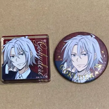 리본 츠나요시 애니버서리 캔뱃지 가정교사 히트맨 REBORN!!