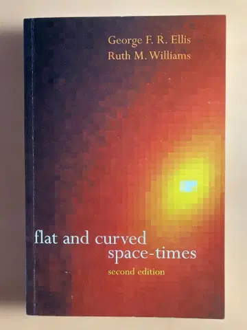 flat and curved space-times 페이퍼백