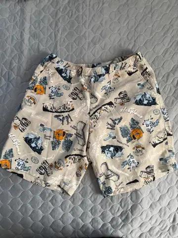 THE NORTH FACE 숏팬츠 L