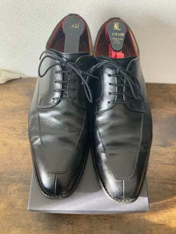 스코치 그레인 샤인 오어 레인 25.5cm