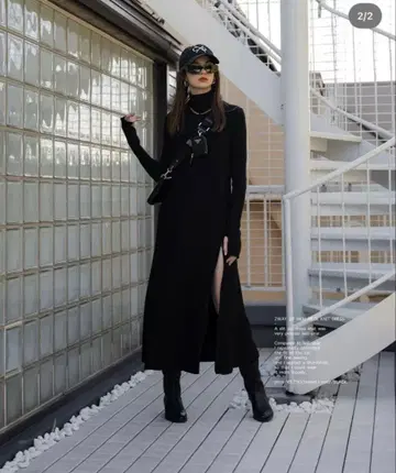 aclent 2way zip high neck dress