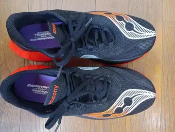 엔도르핀 프로 4 25.5cm 52km 정도 주행