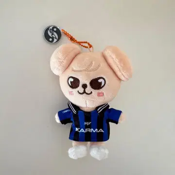 straykids KARMA SKZOO 퍼핌 승민