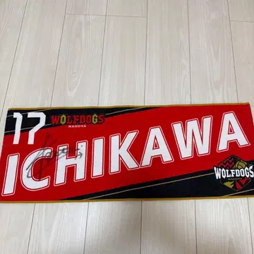 울프독스 나고야 이치카와 켄타 사인 포함 응원 타월