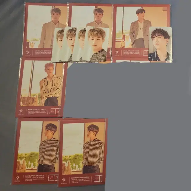 레인즈 일본 앨범 개인반 주원탁 이기원 장대현 홍은기