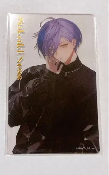 니지산지 사카키 네스 에버컬러 한정판 클리어 카드