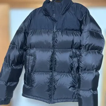 THE NORTH FACE 눕시 GTX 자켓