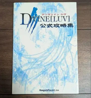 디바인러브 공식 공략집