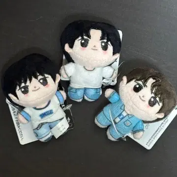 [ 새상품 택 포함 ] TWS 솜인형 SD 인형 영재 신유 신유 도훈