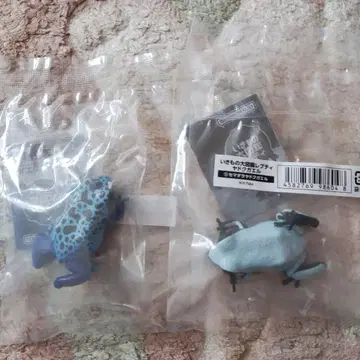 생물대도감 레프티 독화살개구리