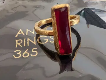 ANNUAL RINGS 365 반지