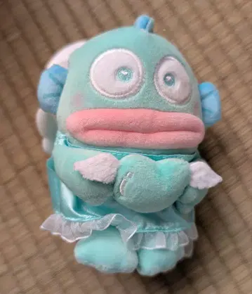 무뉴구루미 파티오 엔젤 한교동