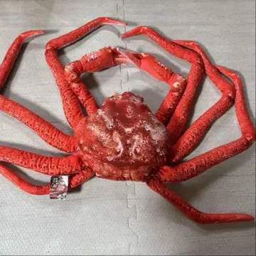 해산물 시장 겨울 미식! 게 봉제 인형 BIG