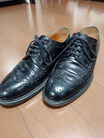 Berwick 버윅 윙팁 블랙 드레스 슈즈