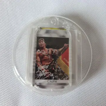 신일본 프로레슬링 타나하시 히로시 키링