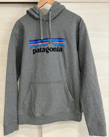 파타고니아 Patagonia P-6 로고 업라이저 후디 후드티