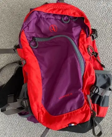 AIGLE 백팩 적자색