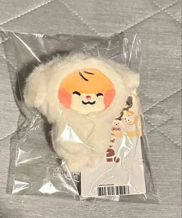 zb1 zeroni 봉제 인형 마그넷 사진 홀더 비니니 한빈