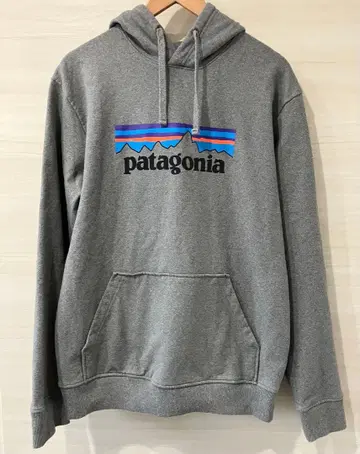 파타고니아 Patagonia P-6 로고 업라이저 후디 후드티