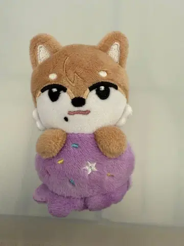 NEXZ 소곤 곤스키