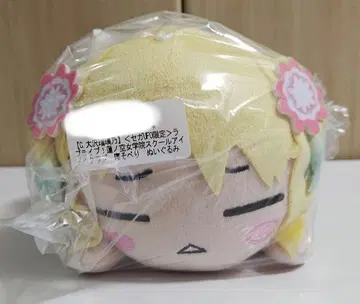 하스노소라 오오사와 루리노 누워있는 봉제 인형 세가 한정판