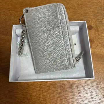 이아 파피용 실버 프래그먼트 케이스