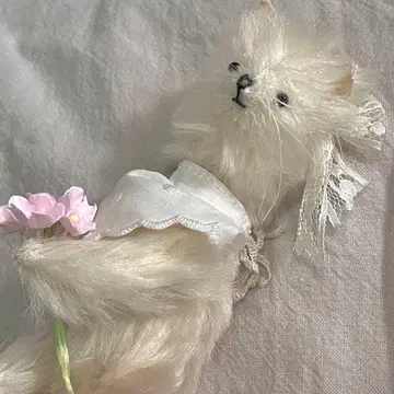 인기 작가님 개인전 화이트 고양이