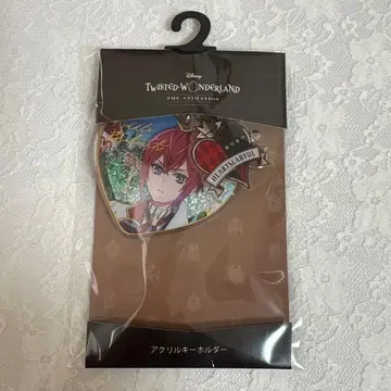 트위스테 리들 아베일 아크릴 키링