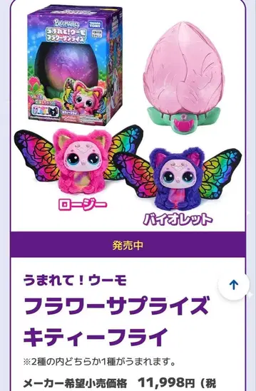 태어나줘! 우모 플라워 서프라이즈 키티 플라이