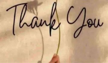 나리아님 묶음 할인 2 카라 부착 폴로 니트 풀오버 블랙