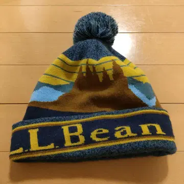 L.L.Bean 풍경 무늬 니트 모자