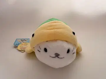 시로탄 거북이 20주년 기념 택 포함